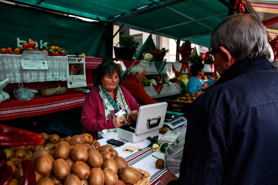 Feria ganadera y agrícola en Leioa