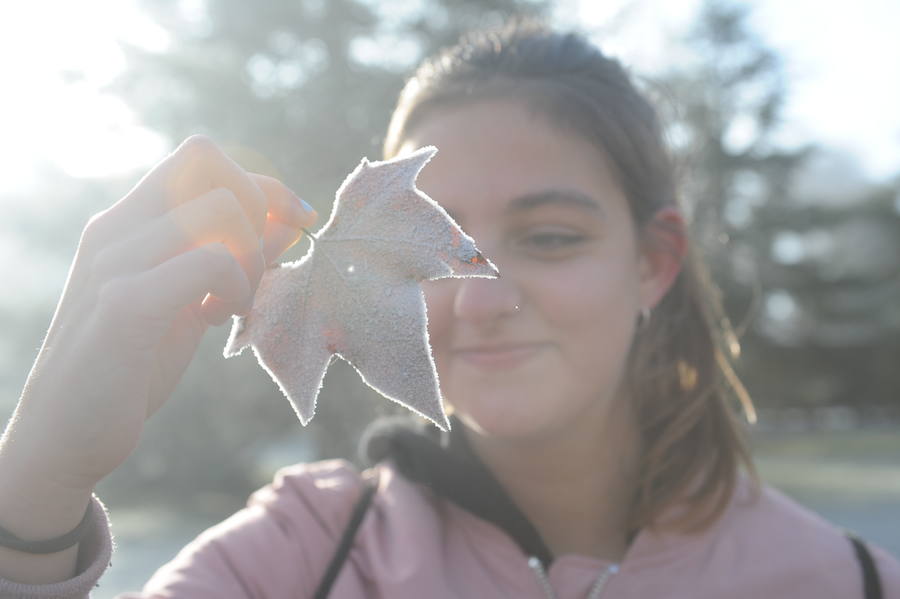 Álava despide el año a bajo cero