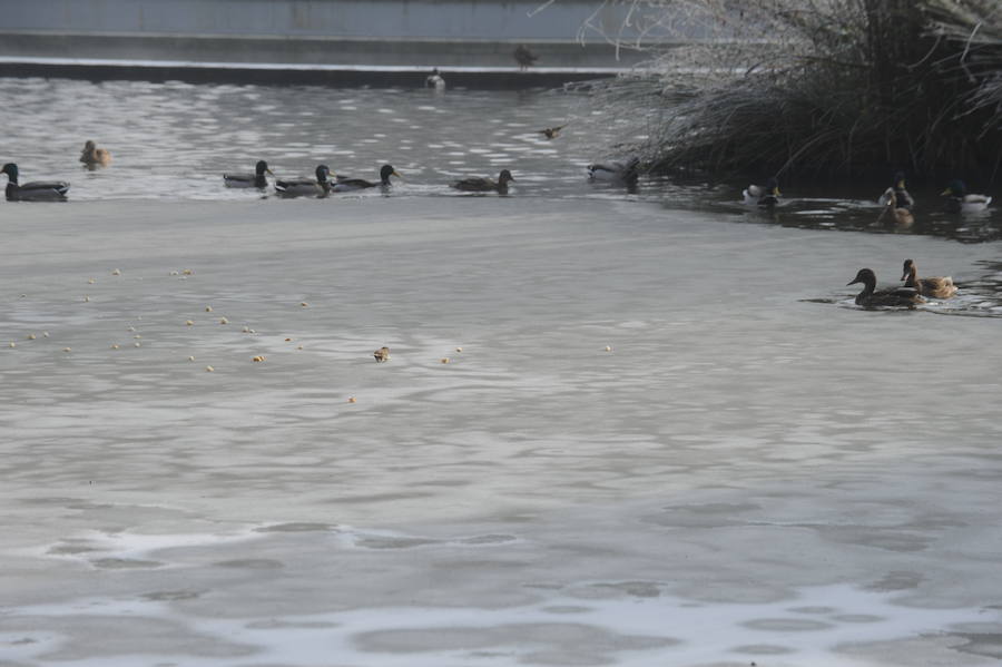 Álava despide el año a bajo cero