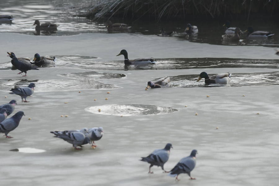 Álava despide el año a bajo cero