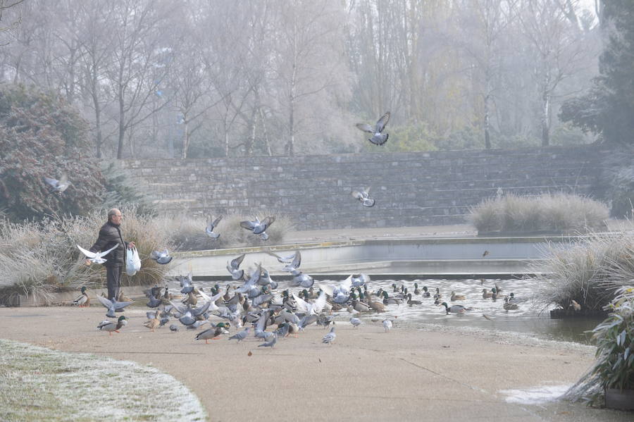 Álava despide el año a bajo cero
