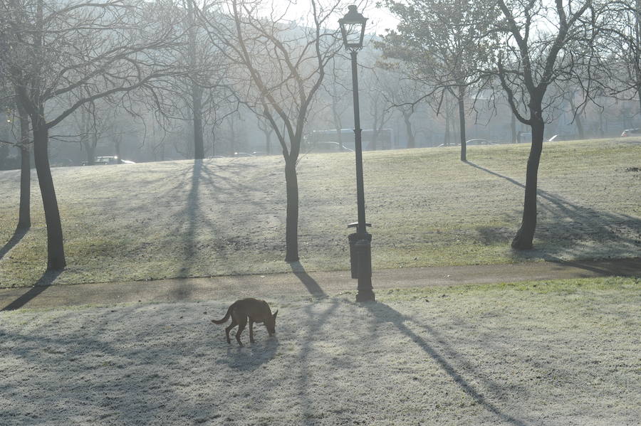 Álava despide el año a bajo cero