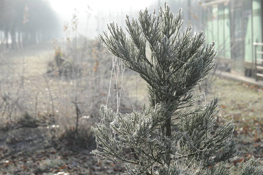 Álava despide el año a bajo cero