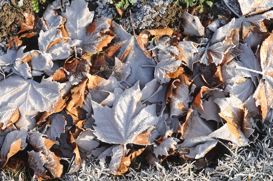 Álava despide el año a bajo cero