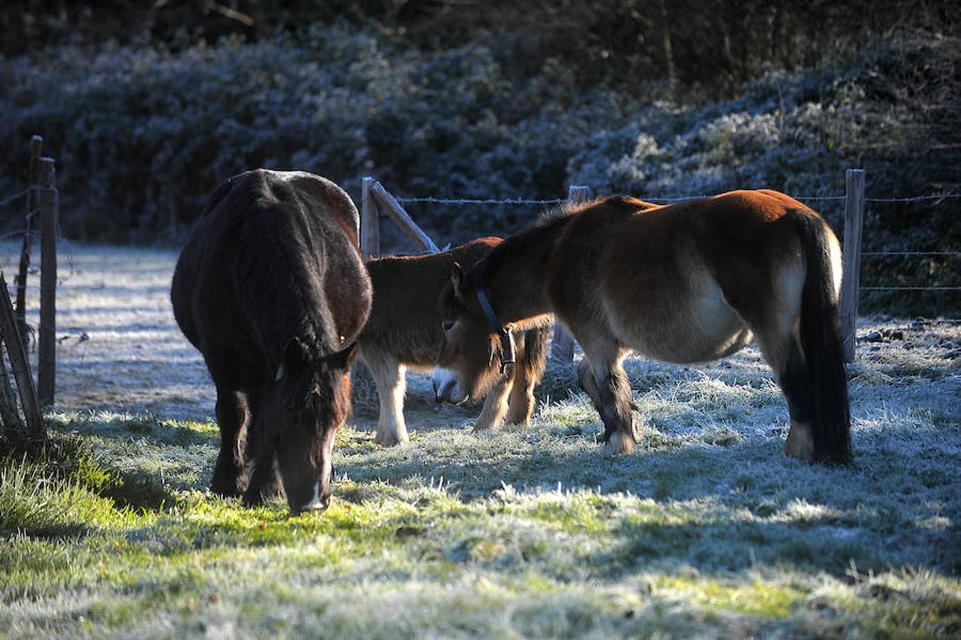 Así de fría estaba la mañana en El Regato y en Otxandio