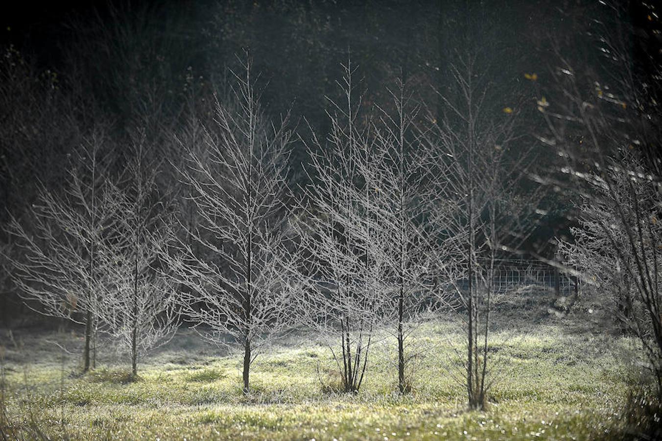 Así de fría estaba la mañana en El Regato y en Otxandio