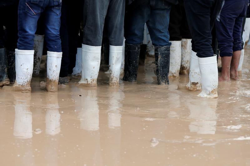 Los desplazados huyen de Mosul, baluarte del Estado Islámico