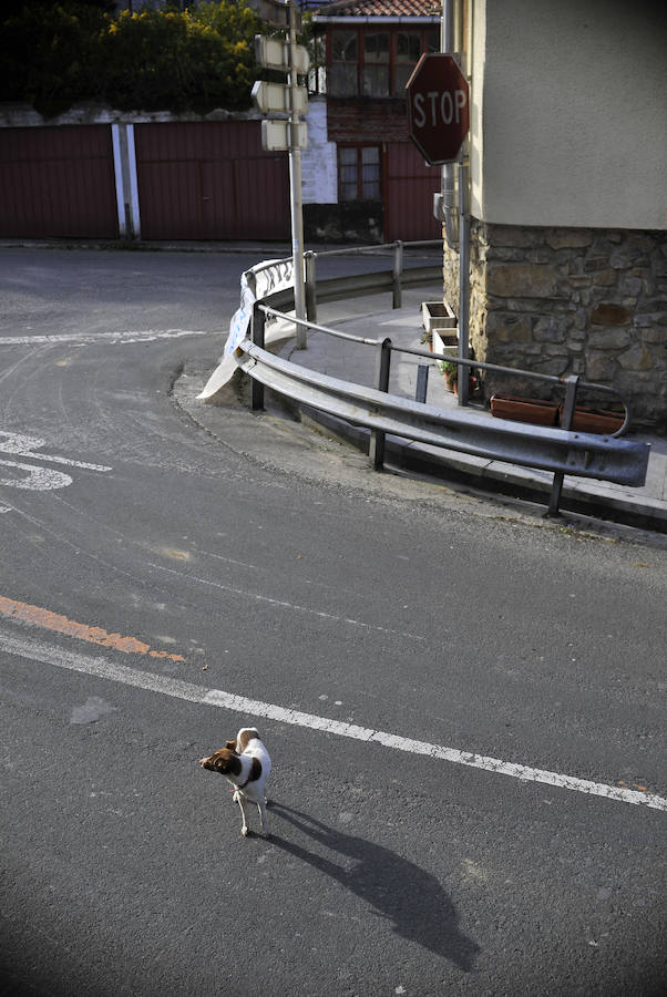 Un paseo por Munitibar