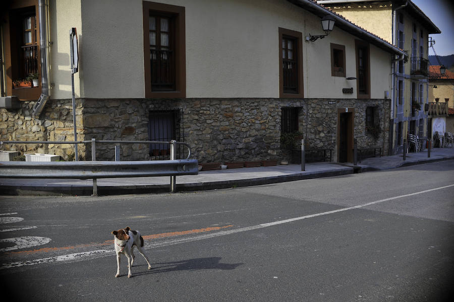 Un paseo por Munitibar