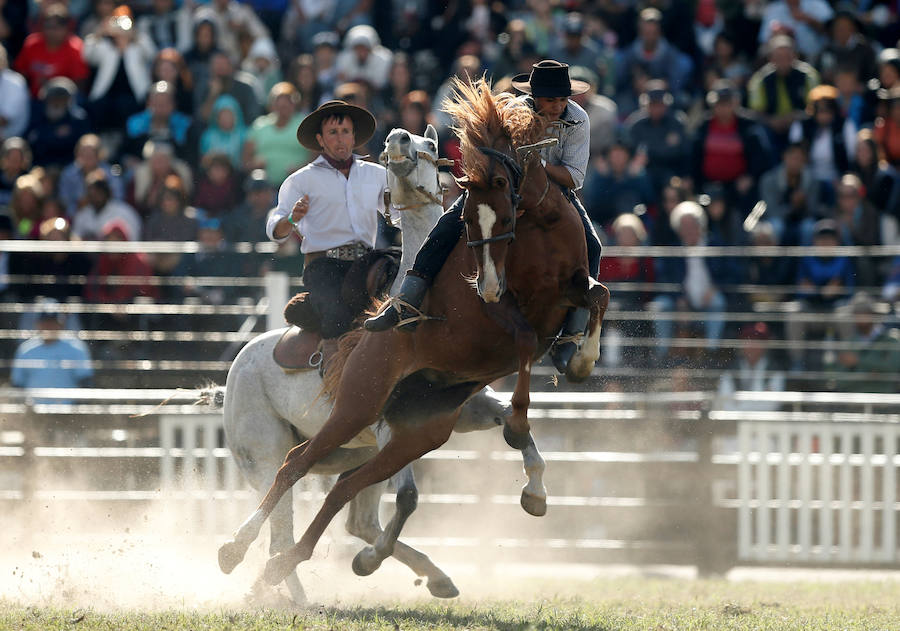 Los saltos a caballo más espectaculares de Montevideo