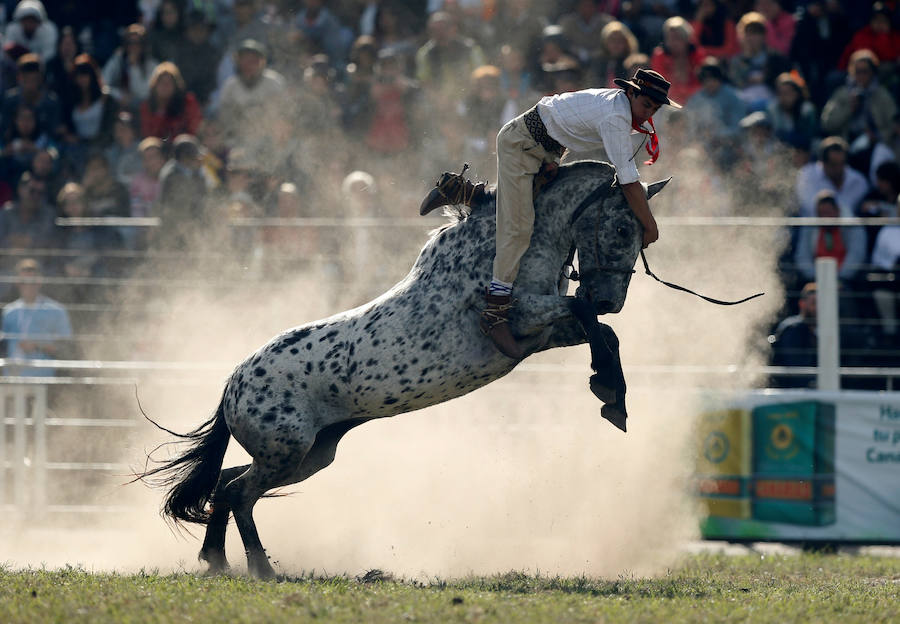 Los saltos a caballo más espectaculares de Montevideo