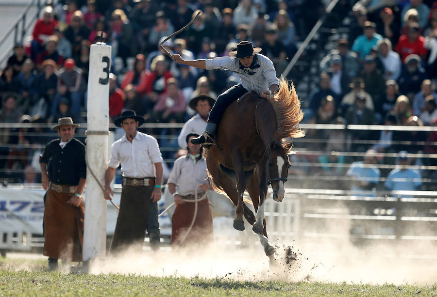 Los saltos a caballo más espectaculares de Montevideo