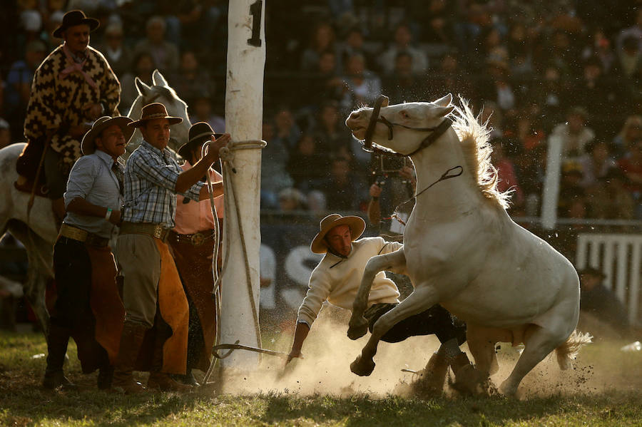 Los saltos a caballo más espectaculares de Montevideo