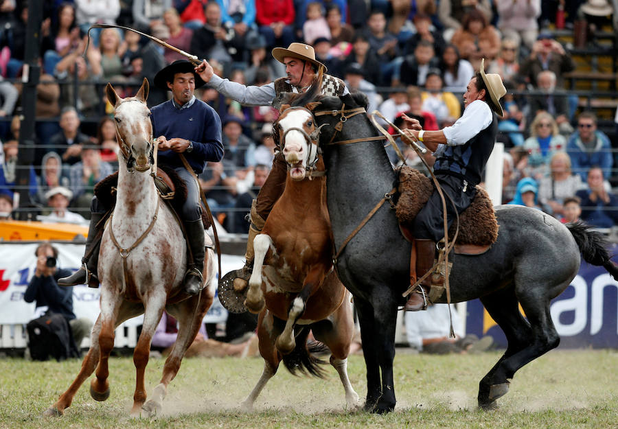 Los saltos a caballo más espectaculares de Montevideo
