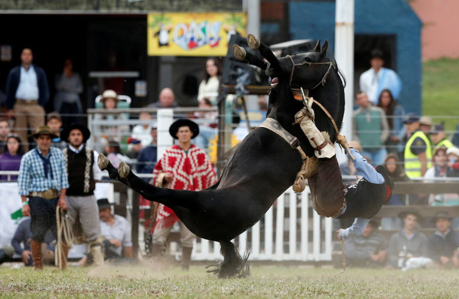 Los saltos a caballo más espectaculares de Montevideo
