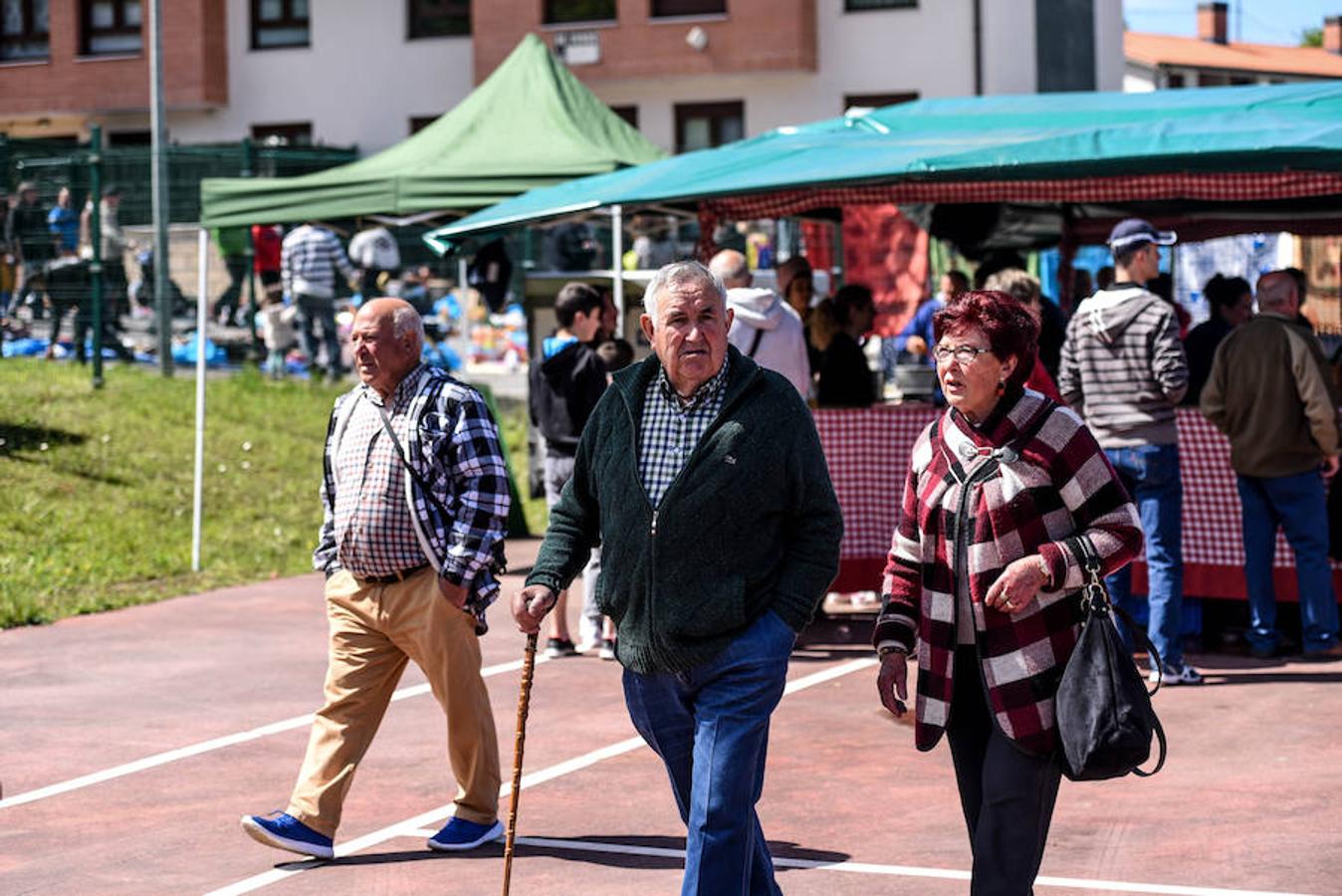 Fiesta del campo en Trucíos