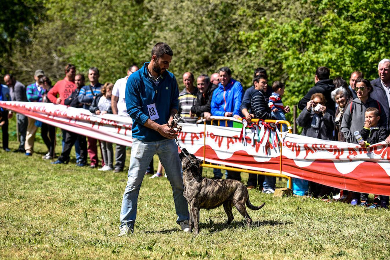 Fiesta del campo en Trucíos