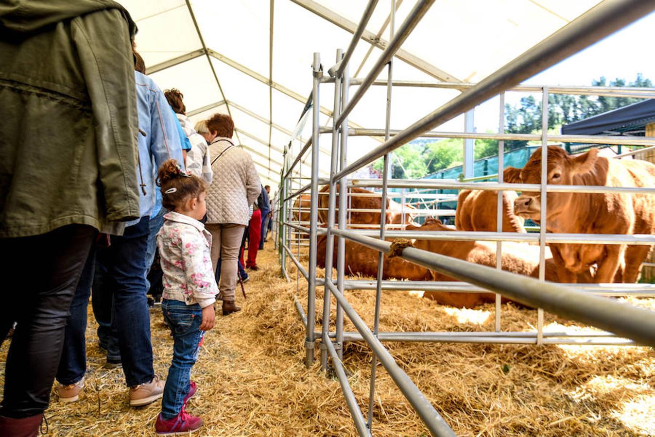 Fiesta del campo en Trucíos