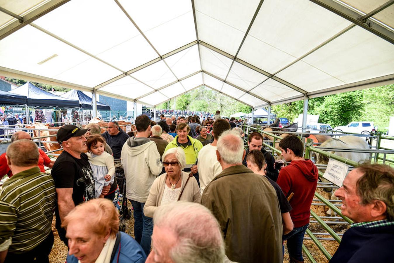 Fiesta del campo en Trucíos