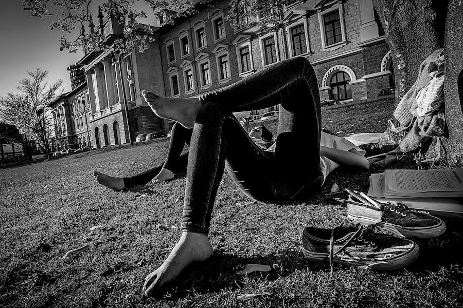 Los estudiantes, exhaustos tras las clases, descansan sobre el césped del edificio de La Comercial de la Universidad.