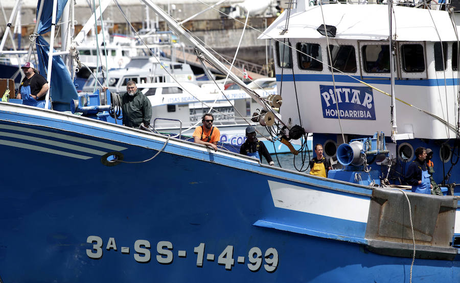 Buena captura de anchoa en Bermeo