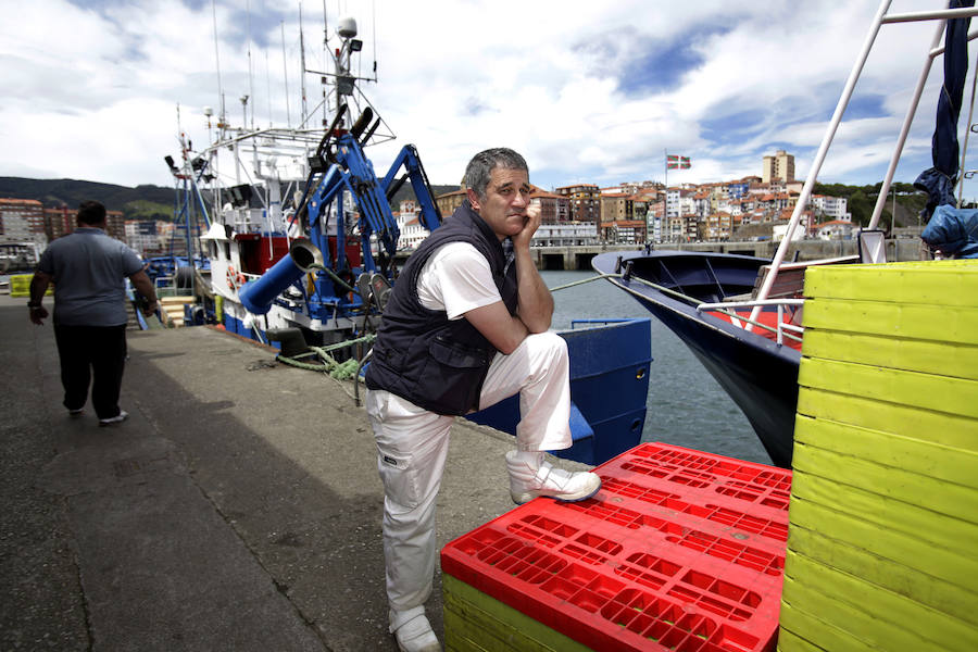 Buena captura de anchoa en Bermeo