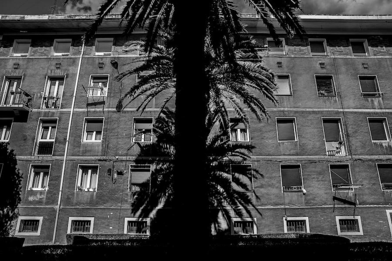Sombra de una palmeras sobre la fachada de un edificio.