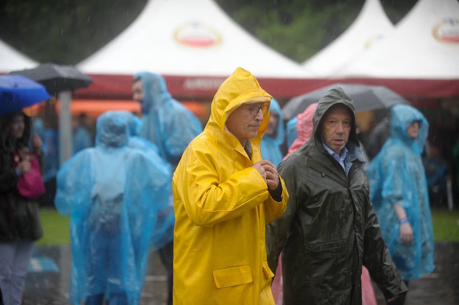 El concierto de Van Morrison, en imágenes