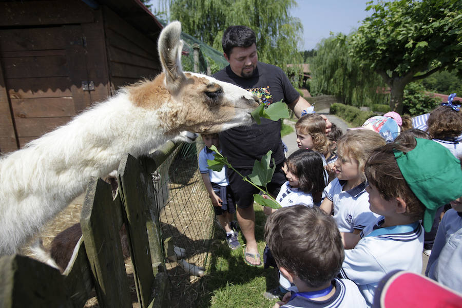 Un refugio para fauna silvestre amenazada, en Kortezubi