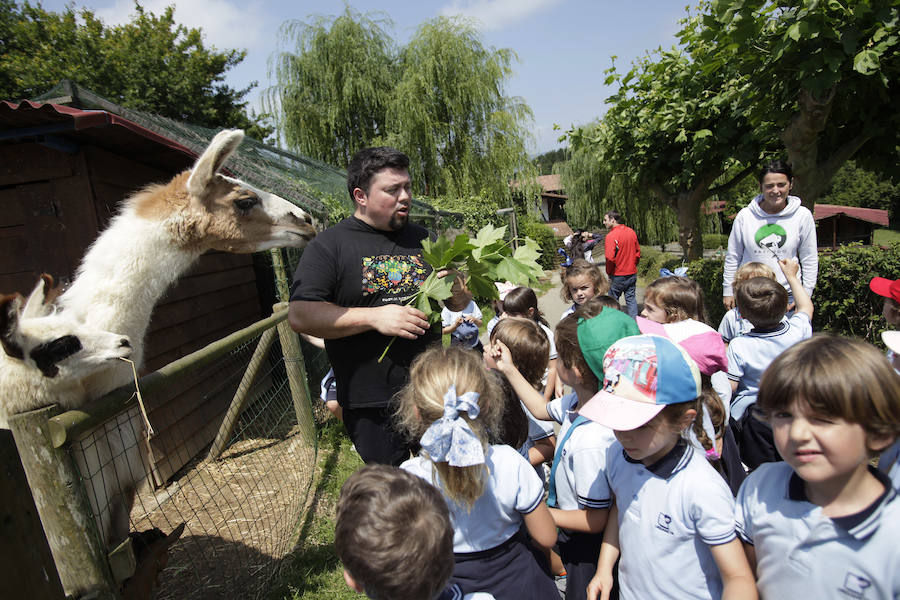 Un refugio para fauna silvestre amenazada, en Kortezubi