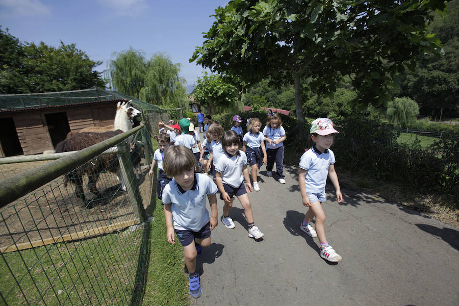 Un refugio para fauna silvestre amenazada, en Kortezubi
