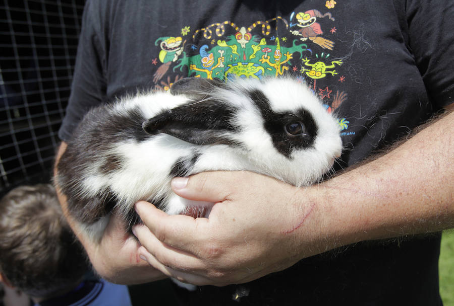 Un refugio para fauna silvestre amenazada, en Kortezubi