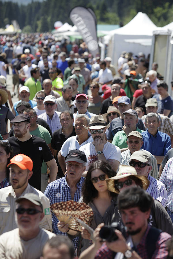 El Día del Cazador y el Pescador homenajea en Dima al perro de caza