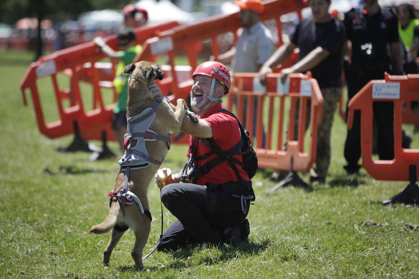 El Día del Cazador y el Pescador homenajea en Dima al perro de caza
