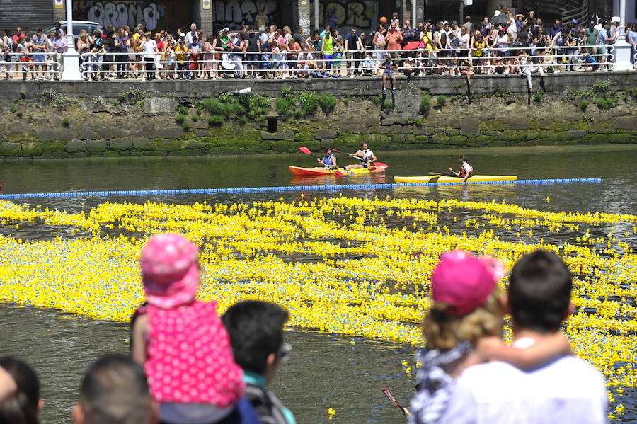 30.000 patos a la ría