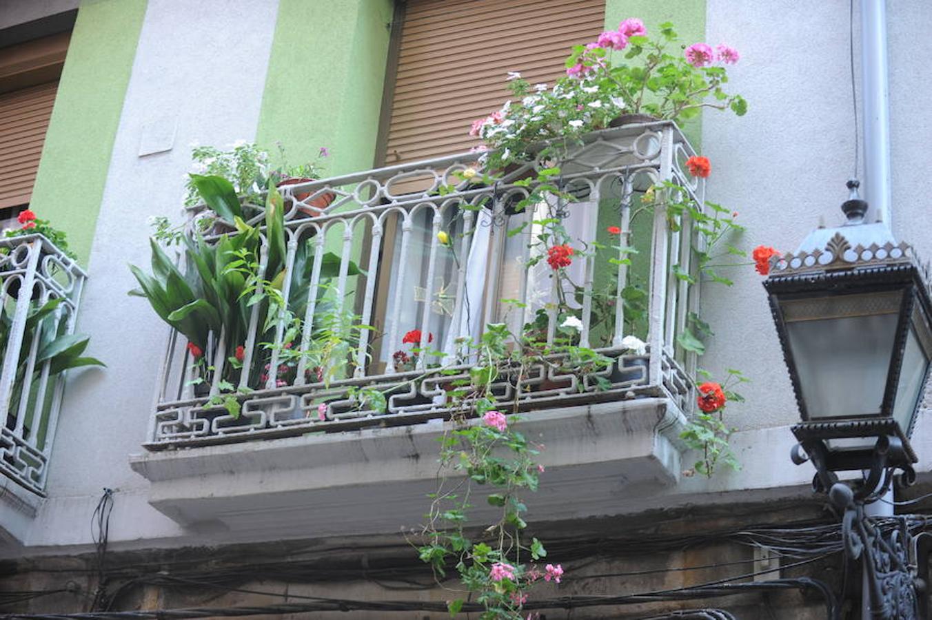 Los mejores balcones del III Concurso de Decoración de Balcones y Miradores del Casco Viejo de Bilbao