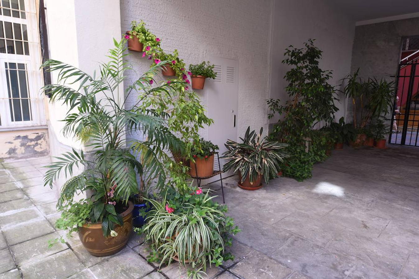 Los mejores balcones del III Concurso de Decoración de Balcones y Miradores del Casco Viejo de Bilbao