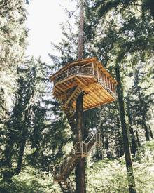 Imagen secundaria 2 - Txantxagorri, habitación de la cabaña Alaia y cabaña Elaia.