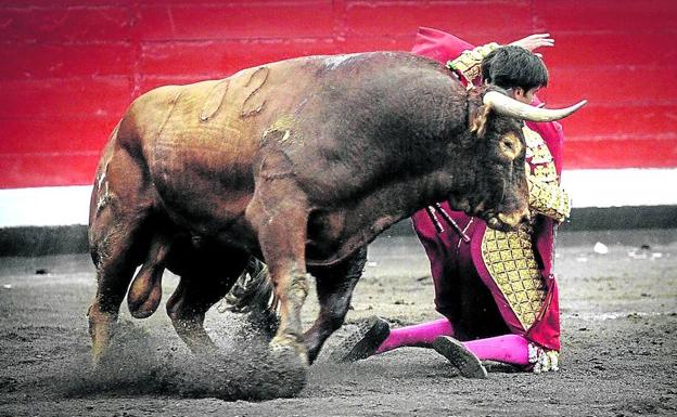 José Garrido en un molinete de rodillas a uno de su lote en la faena de muleta.
