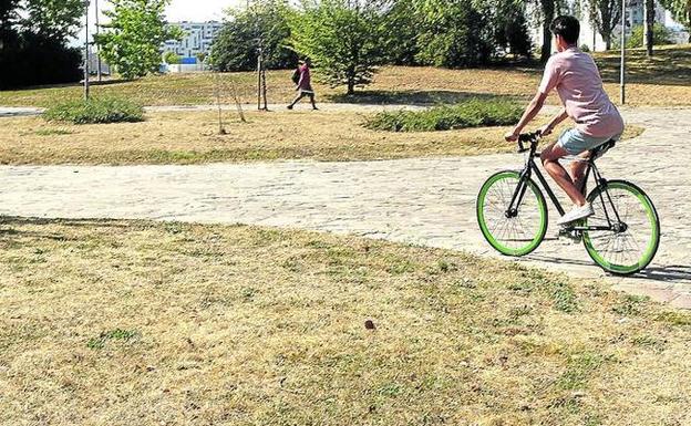 Un ciclista circula por el parque de Ariznabarra a finales de agosto rodeado de zonas verdes amarilleadas. 