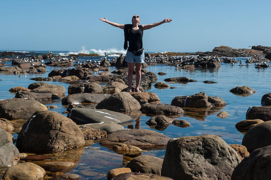 Cabo de Buena Esperanza, sobre las rocas y el sol.