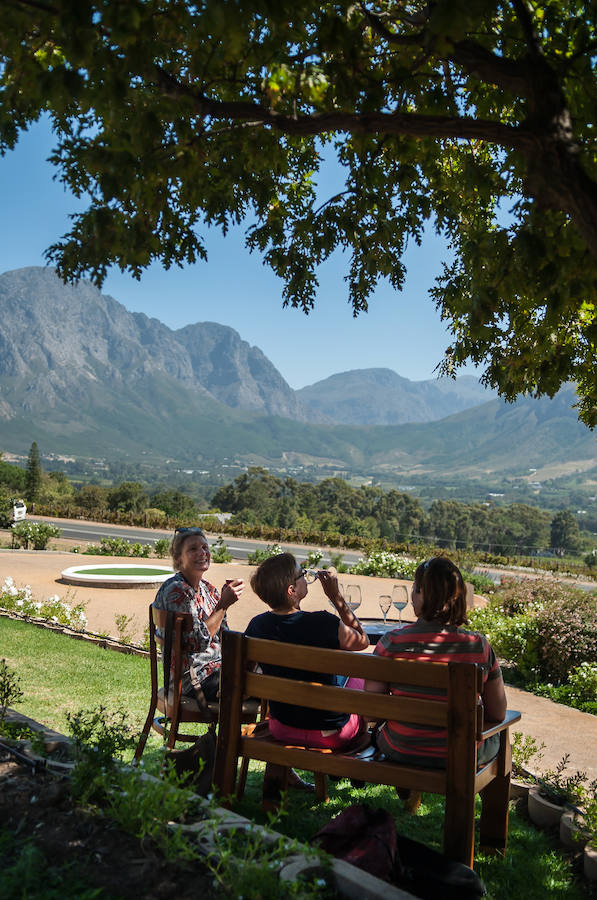 Franchhoek, una copa frente a los viñedos.