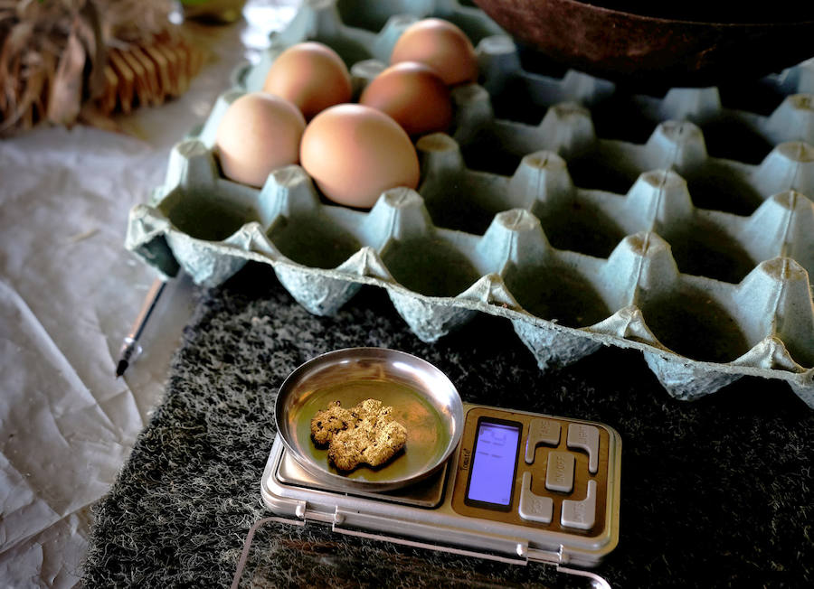 Son unos mineros que abundan en Brasil en la selva del Amazonas. Viven en condiciones infrahumanas y arriesgan su vida al utilizar máquinas como los monitores hidráulicos en búsqueda de mercurio, como sustancia para amalgamar el oro. Un uso que daña gravemente el medio ambiente.