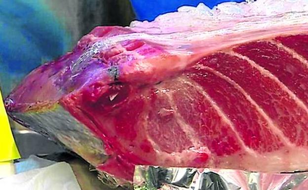 Un filete de atún rojo.