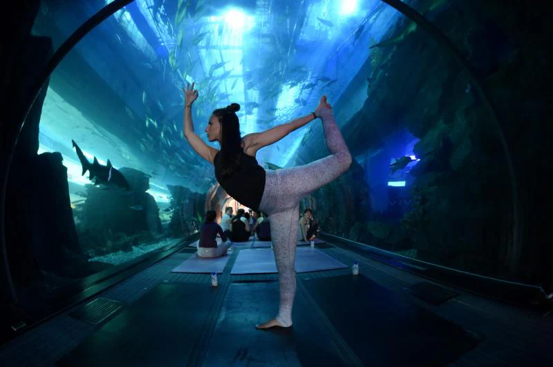 El yoga se puede realizar en cualquier lugar, y así lo han demostrado en los Emiratos Árabes. En el aquarium del Centro Comercial Dubái practicantes de este deporte se reunen para disfrutar en una sala única.
