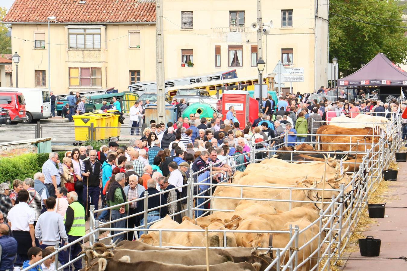 Feria de ganado de Salvatierra