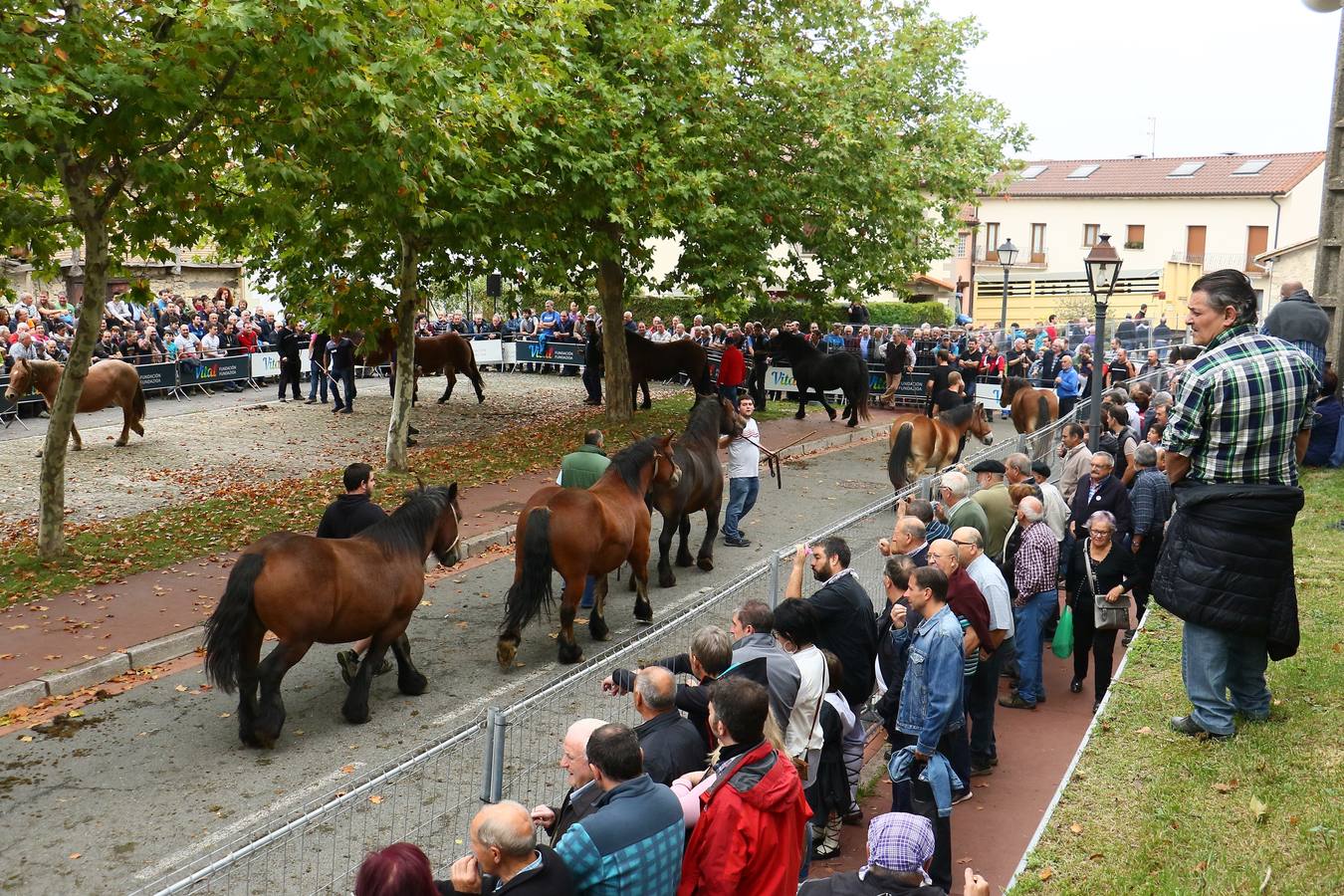 Feria de ganado de Salvatierra