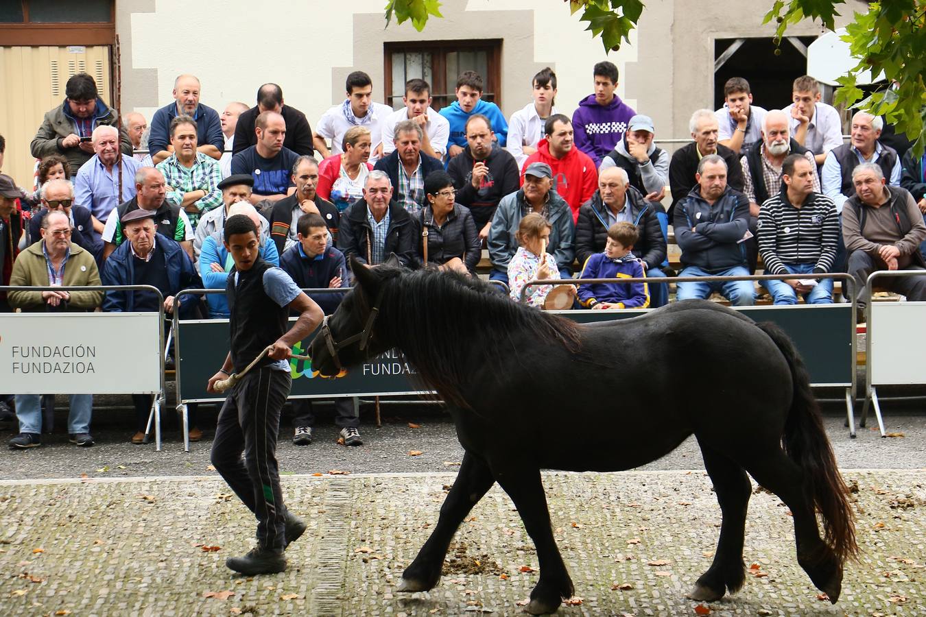 Feria de ganado de Salvatierra