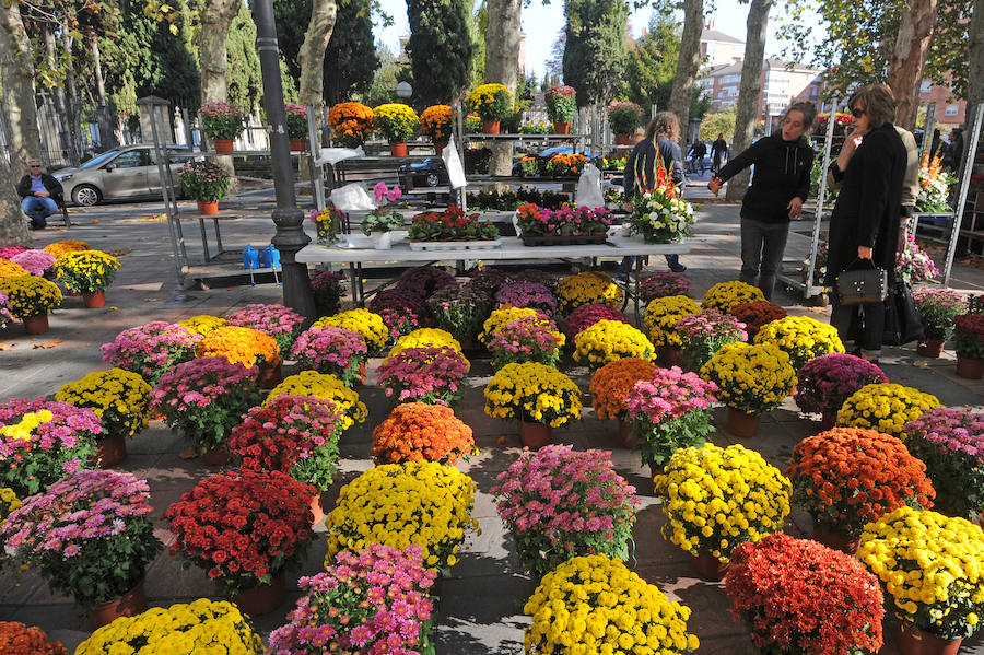 Multitud de personas se han acercado este miércoles a los cementerios de la provincia para recordar a sus seres queridos fallecidos