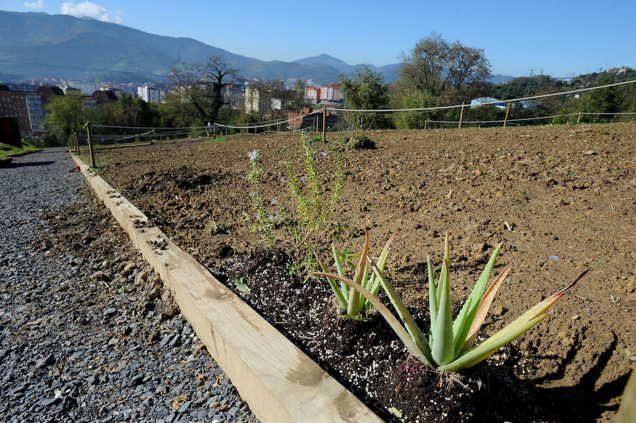 El año que viene se espera crear otros 90 huertos ecológicos en las laderas de Artxanda